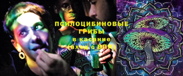 крисы Алагир