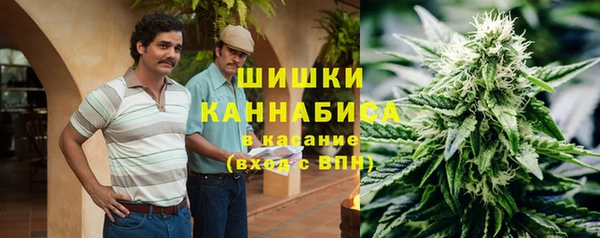 крисы Алагир